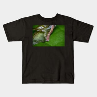 Unique and organic photo of a Polydesmid millipede Kids T-Shirt